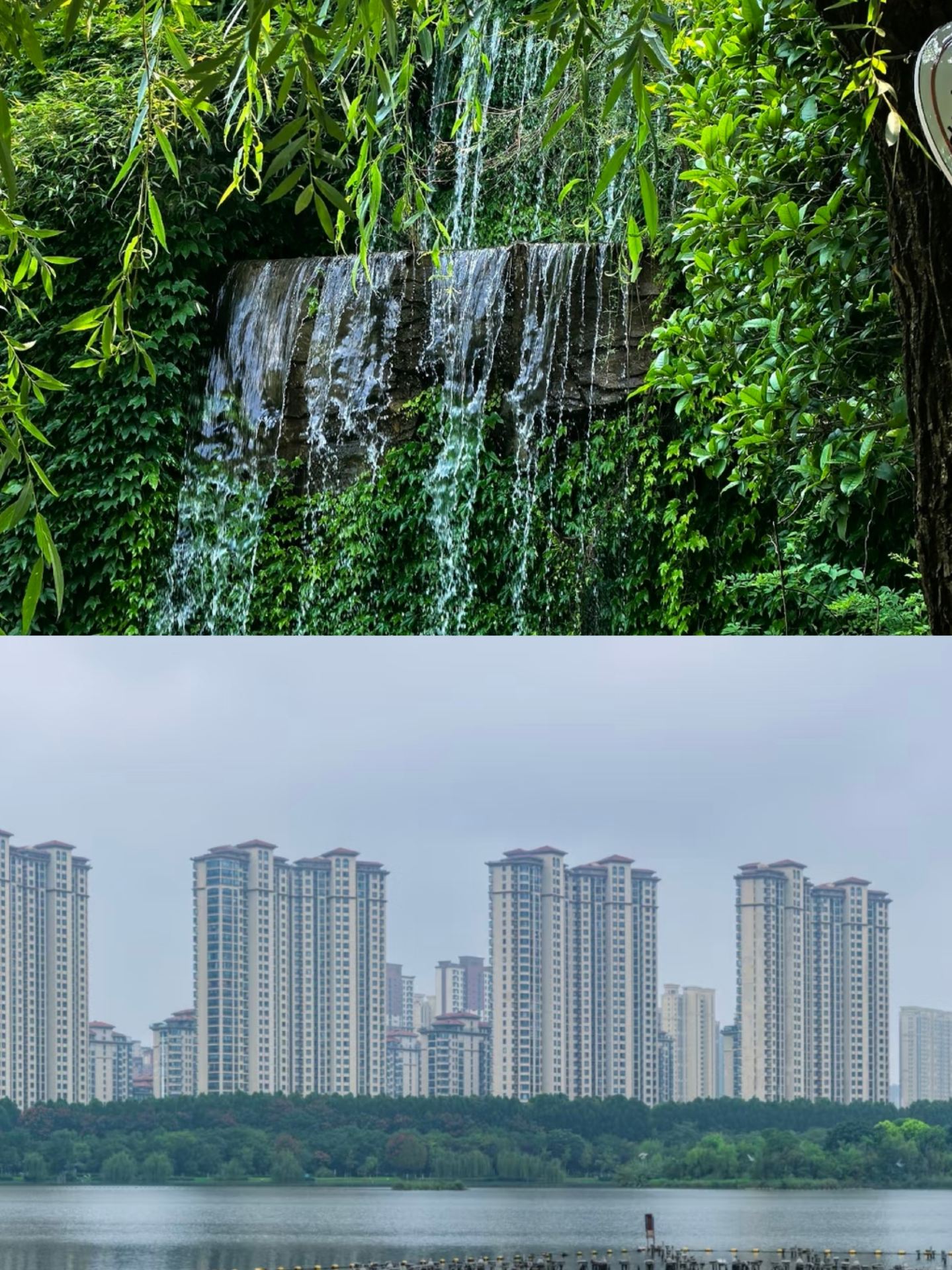 Tôi vừa trở về từ Tô Châu, vậy nên hãy để tôi kể cho bạn nghe sự thật.