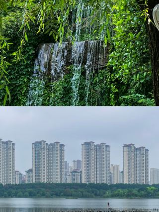 宿州已回，說點真心大實話。