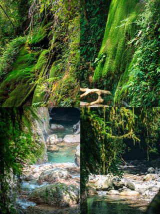 หลีกหนีความร้อนอบอ้าว! สวรรค์อันเย็นสบายและเงียบสงบที่ซ่อนตัวอยู่ในหุบเขาทางตะวันออกของมณฑลเสฉวน