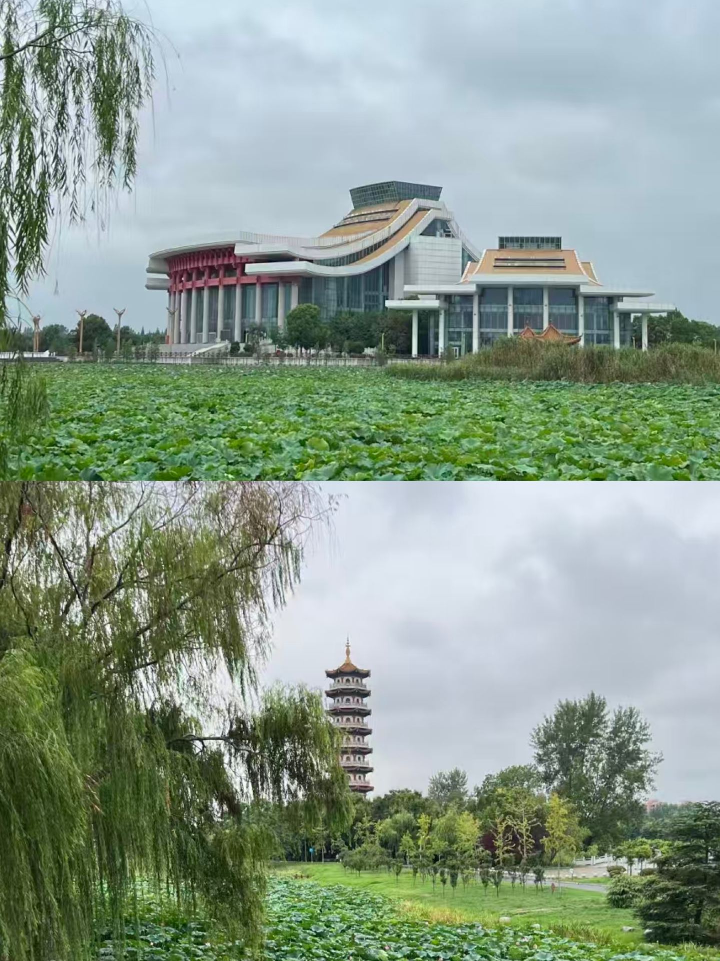 Qianjiang in July. They've really won too much.