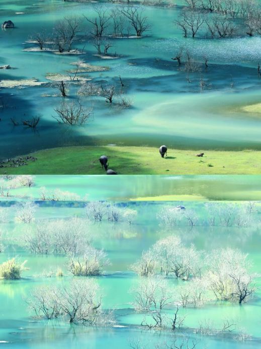 桂林を超える！百色には野生の山水が隠れている | Trip.com 靖西