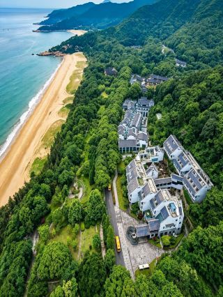 普陀山希爾頓花園｜住進山海間的禪意，兩天暴走4.7w步