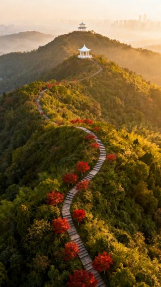 作為一名熱愛自然和徒步的旅行者，最近我選擇了佛山皂幕山作為我的登山目的地，這次體驗讓我收穫頗豐。皂幕