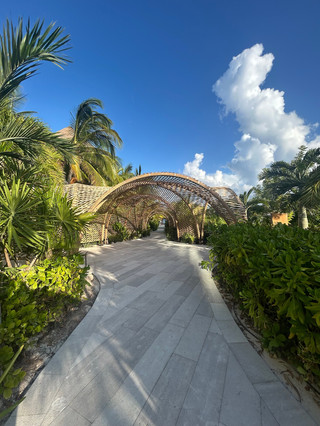 A Honeymoon Experience Straight Out of Paradise