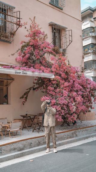 The flower wall in Foshan is a stunning photo spot—it's so beautiful