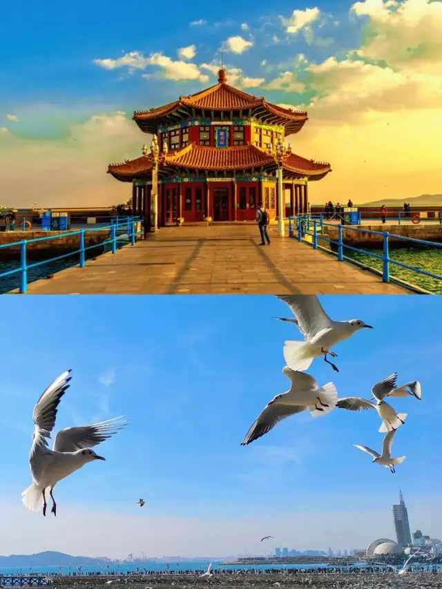 National Day family trip to Qingdao Zhanqiao: 3 days, 2 nights, stress-free, for a family of 3 for CNY 1,500