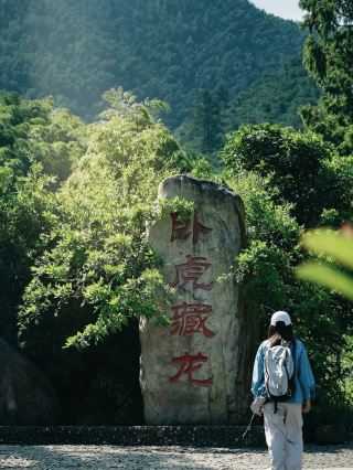 這裡的含氧量爆啦！安吉大竹海懶人輕徒步
