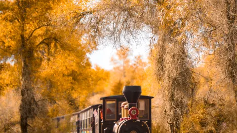 Cuma Cantik 20 Hari Setahun! Xinjiang Selatan Lagi 'Emas-emasnya'! — traveler post in Bayingolin Mongol Autonomous Prefecture