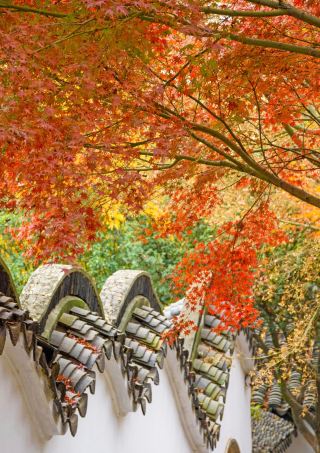 Suzhou Tiger Hill | The premier attraction in Wuzhong, holding 2,500 years of Wu-Yue legends