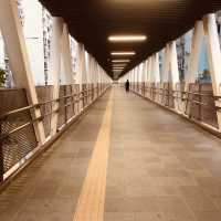 TAIPA PEDESTRIAN OVERPASS BRIDGE