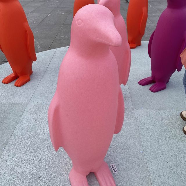 尖沙咀 萌呆企鵝小隊