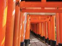 【京都市】無数の鳥居をくぐり山頂へ⛩