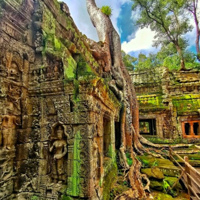 Incredible Cambodia Temples 🥰