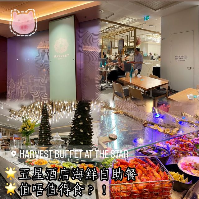 Harvest Buffet 🌟