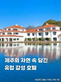 제주 자연 속 담긴 유럽 감성 호텔 🏰