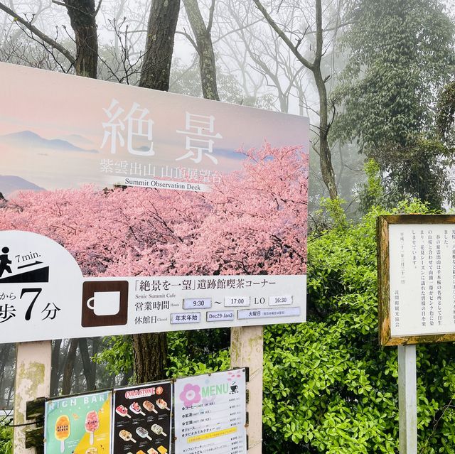 日本高松 紫雲出山賞櫻