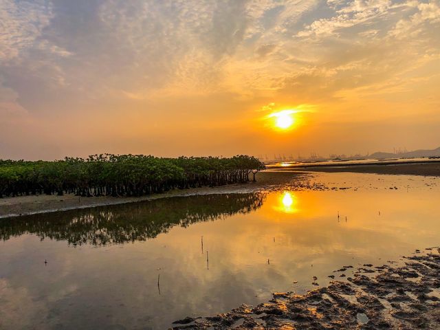 醉人日落美景🌄下白泥