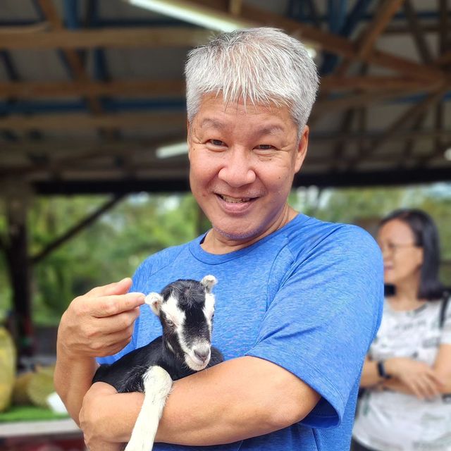 Saanen Dairy Goat Farm