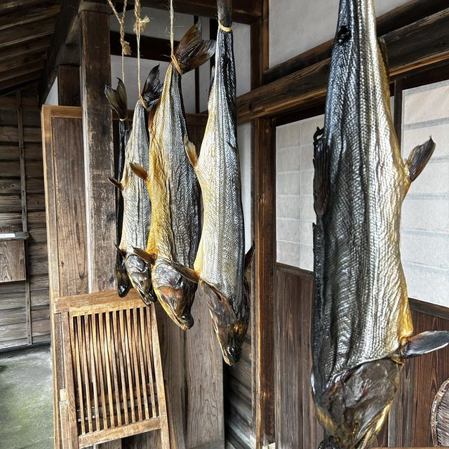 No1 Salmon culture in Japan 