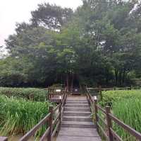 韓國景點📸峨嵯山生態公園😊親親大自然體驗日🌤