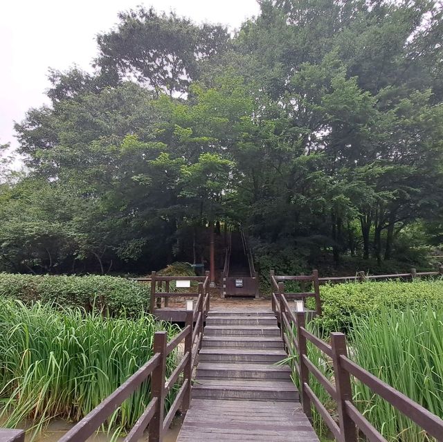 韓國景點📸峨嵯山生態公園😊親親大自然體驗日🌤