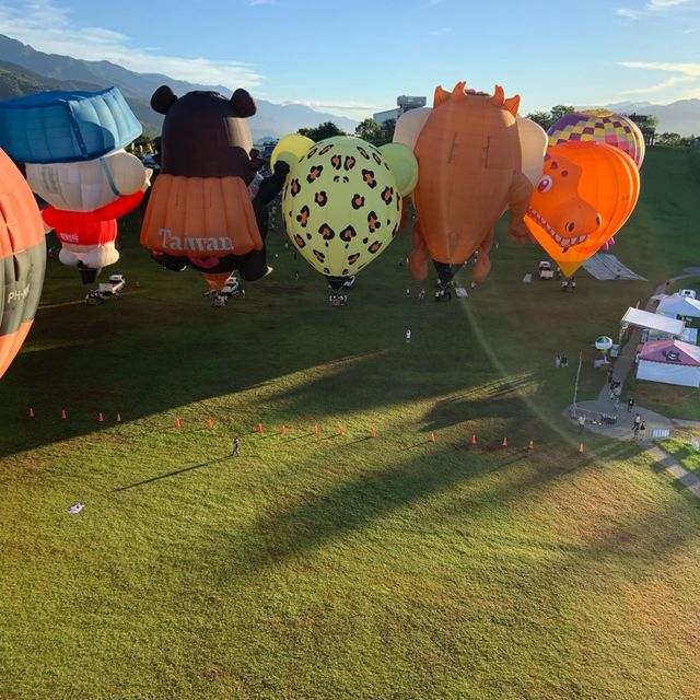 飛去台東坐熱氣球飛上天