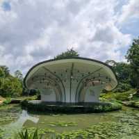 Green oasis in middle - Botanic Gardens 