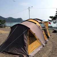 바다 바로앞 캠핑장 어은돌송림캠핑장