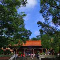 Magnificent Hongfa Temple