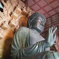 日本必到✍️奈良東大寺