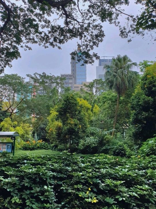 침사추이역 도심속 공원🌳