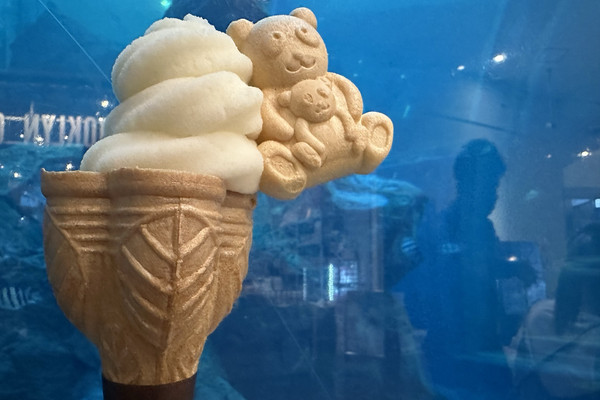 福岡・博多区。パンダもなか付きジェラート店『BROOKLYN GARDEN(SWEET