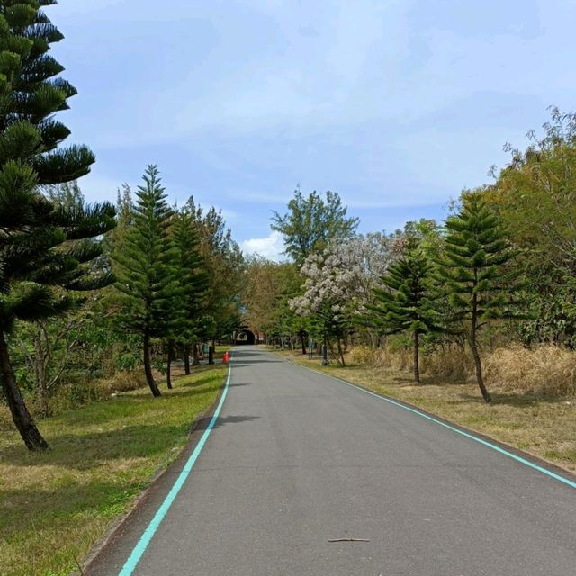 A walk around Taitung Forest Park 