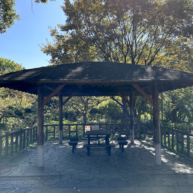 📍多摩川台公園/東京