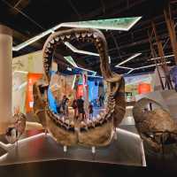 與恐龍共舞：香港科學館古生物展覽帶你探索失落的世界！