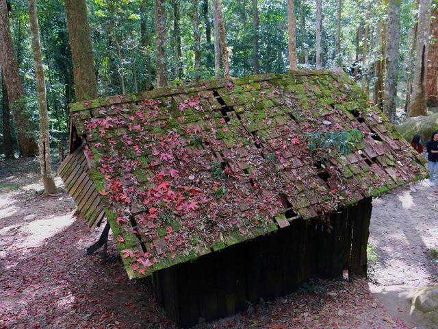 โรงเรียนการเมืองการทหาร 🍁🍁🍁