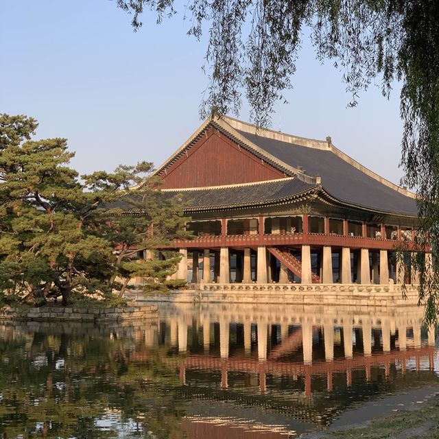 고즈넉한 경복궁.. 가을에 더 예쁜거 아셨나요?🤎🍁