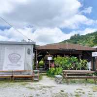 【沖縄】座間味島グルメ✨和山海雲ワヤマモズク