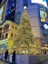 명동 대형 크리스마스 트리🎄