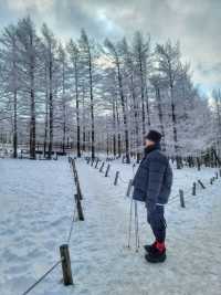 강원도 겨울여행은 여기! 정선 만항재❄️
