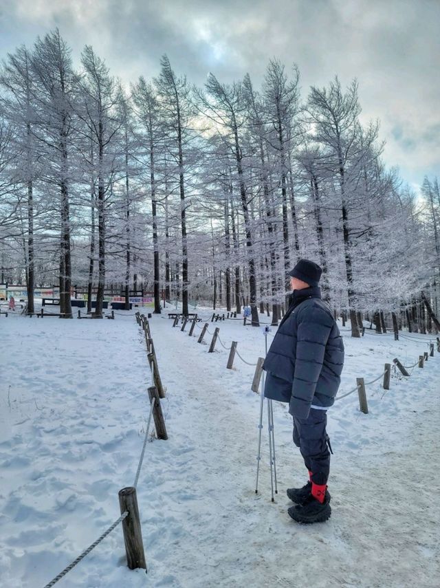 강원도 겨울여행은 여기! 정선 만항재❄️