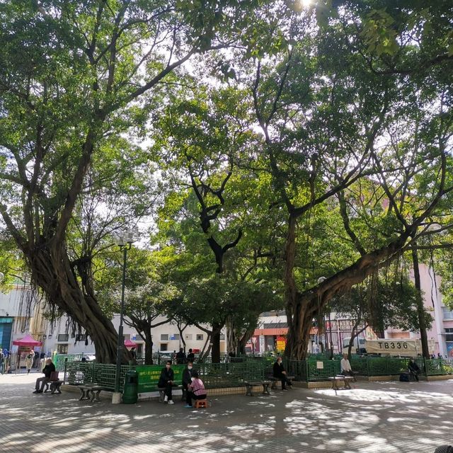 九龍市中心的綠洲