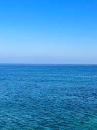 푸른 동해바다 바로 위에서 산책할 수 있는 해랑전망대 🌊🤍