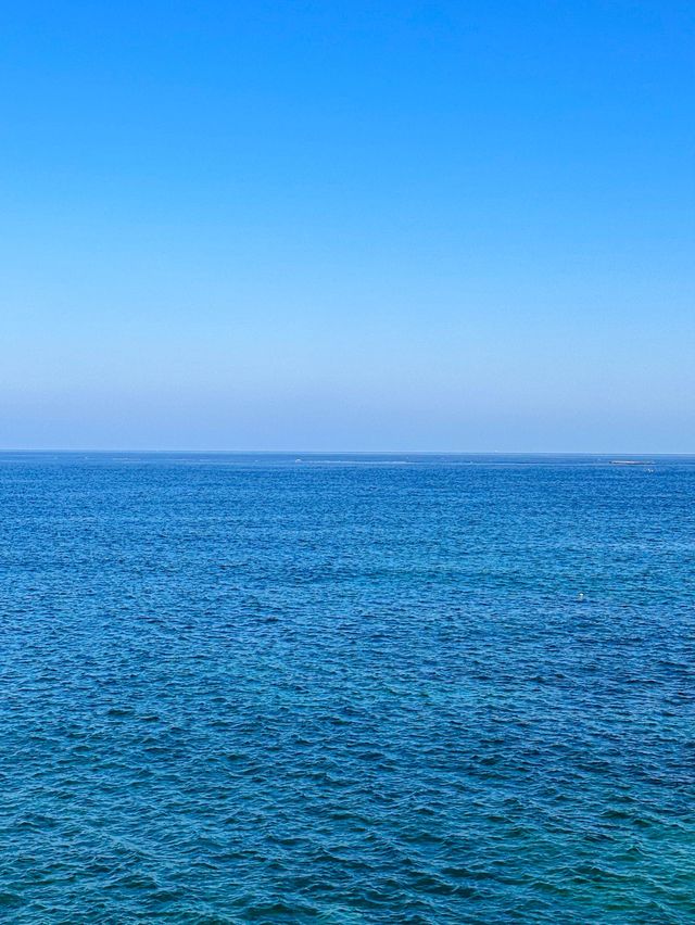 푸른 동해바다 바로 위에서 산책할 수 있는 해랑전망대 🌊🤍