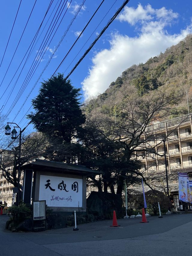 ♨️箱根湯本温泉 天成園  超級推介🥰