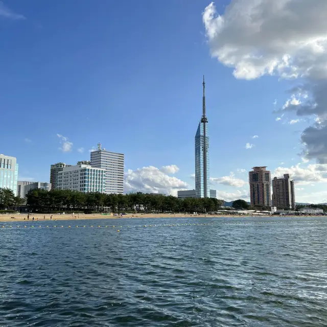 福岡を代表するベイエリア、百道浜🏖🐬