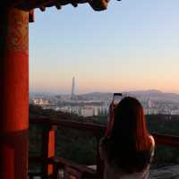 요즘같은 날씨에 등산하기 쉬운 서울 산!!⛰️❤️