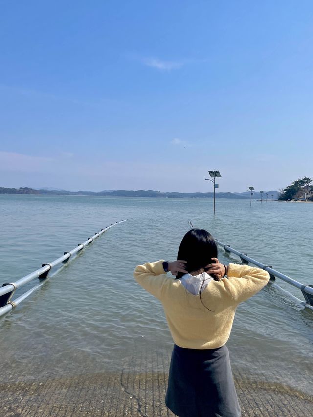 서산 하루 두 번 물에 잠기는 신비의 다리 #웅도 💙