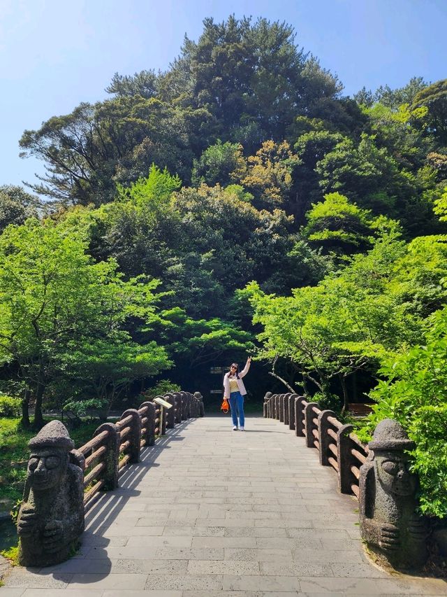 서귀포 힐링 산책길 천연기념물 천지연폭포💧