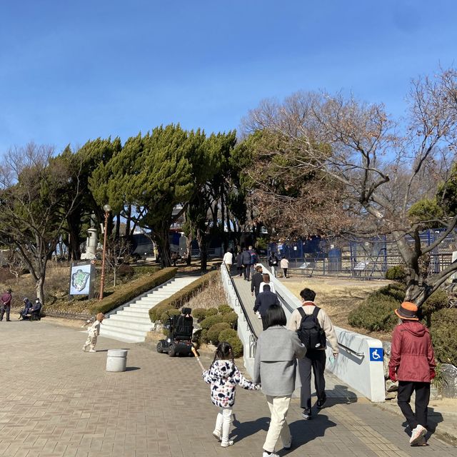대구 아이와 함께 가볼만한 곳, 달성공원 동물원